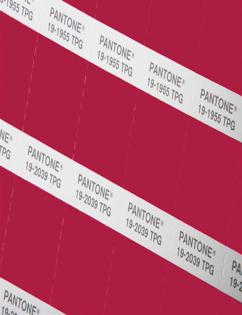 pantone-color-specifier-and-guide Set-fhip230-2